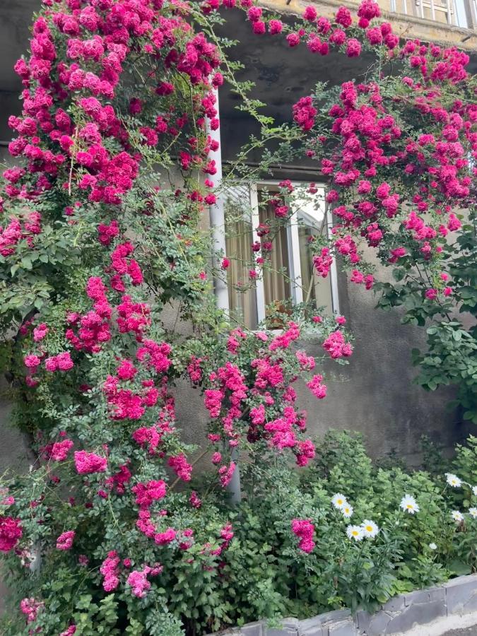 Inexpensive House Bed and Breakfast Βανατζόρ Εξωτερικό φωτογραφία